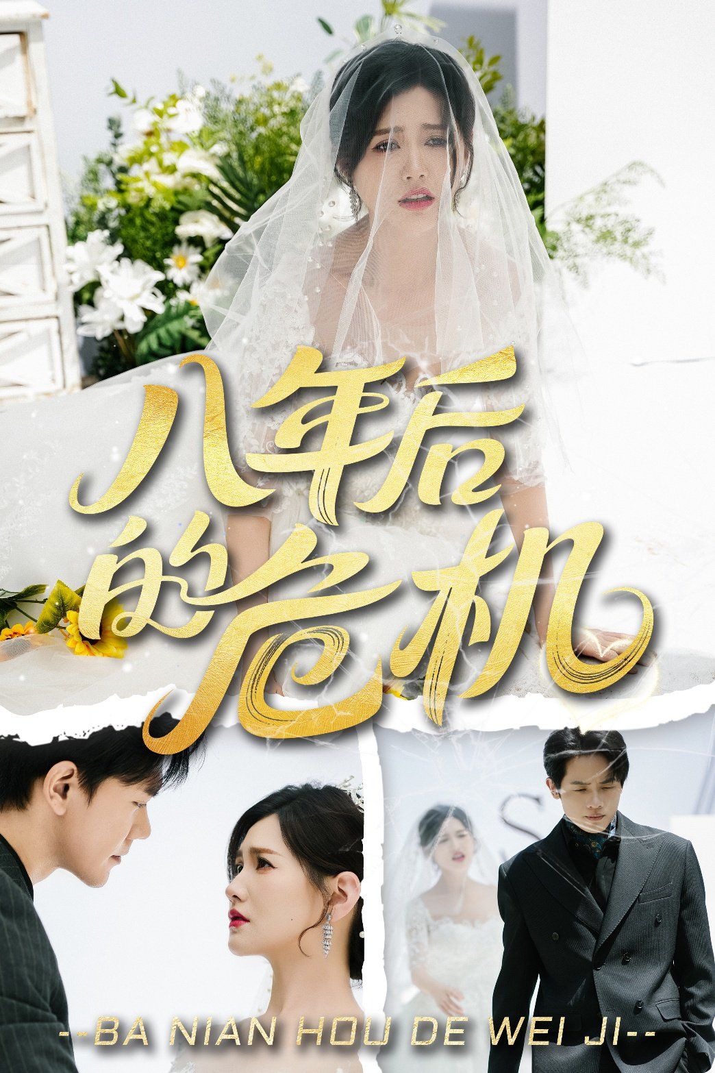 八年后的危机(全集)