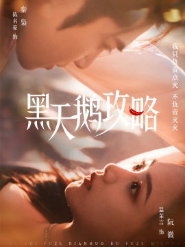 黑天鹅攻略(全集)