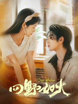 四野如火(全集)